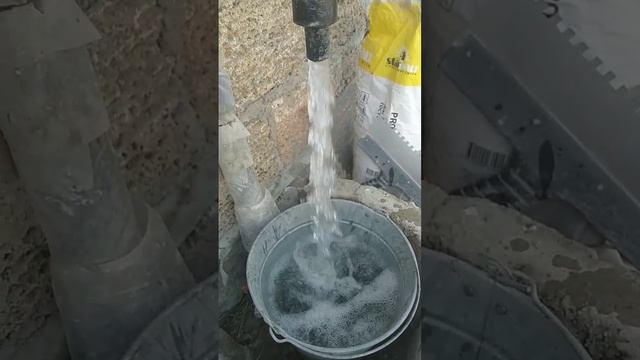 ЧТО ДЕЛАТЬ ЕСЛИ ЖЕЛТЕЮТ ЛИСТЬЯ НА ДЕРЕВЕ! смотреть онлайн