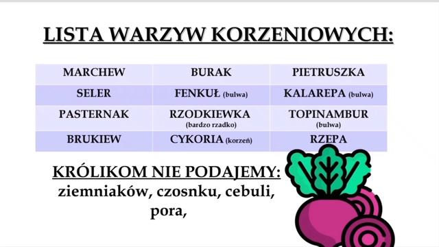 ODC.8 WARZYWA I OWOCE W DIECIE KRÓLIKA // Czy królikom można dawać warzywa? #hodowlalovelylopspolan смотреть онлайн