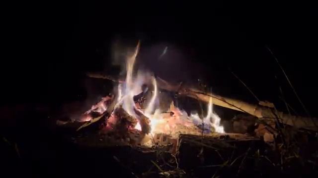 НОВАЯ ЖИЗНЬ