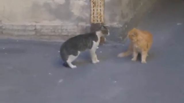 ололо смотреть онлайн