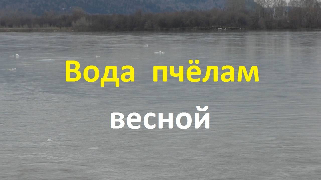 Все о воде для пчел весной смотреть онлайн