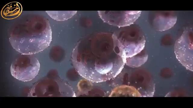 Какие вещи произойдут ближе к концу света - сильн смотреть онлайн