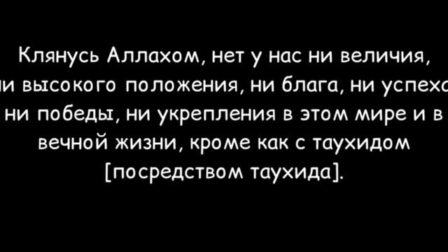 ТАУХИД Шейх Мухаммад аль-Фифи смотреть онлайн