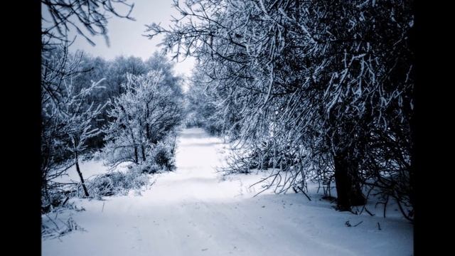 Čaro zimy смотреть онлайн
