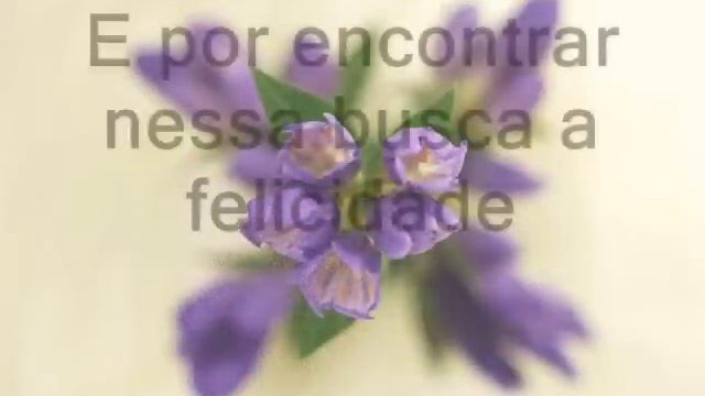 FLORES PARA OS AMIGOS - FEBA смотреть онлайн