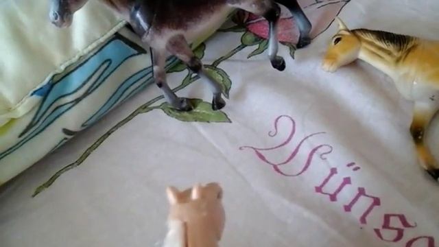 Приключения диких лошадей 1 серия смотреть онлайн