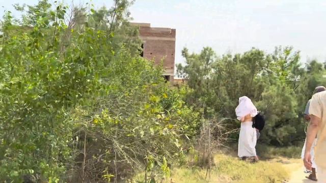 ⭐️Экскурсия по Рупа Сева Кундж. Ретрит центр на Говардхане. Е.С. Бхакти Вигьяна Госвами. 2024.04.09