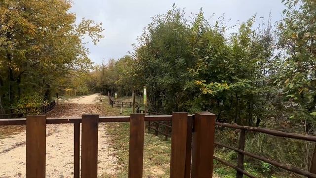 Gerano, Bellegra, Rocca Santo Stefano на 17 ноября грибов нет смотреть онлайн
