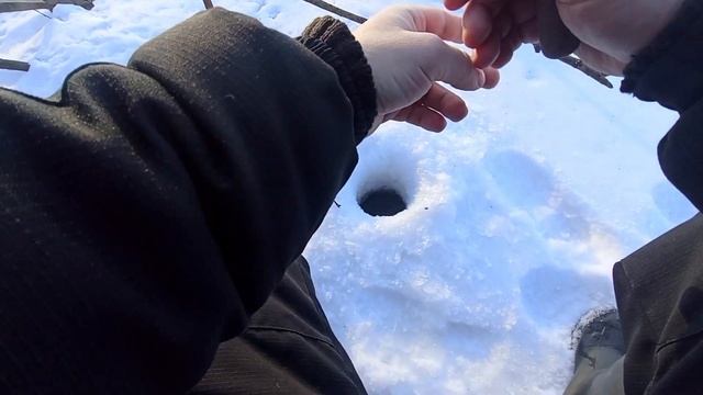 РЫБАЛКА ПО ОКУНЮ И ПЛОТВЕ/КЛËВ МОЩНЫЙ/ЧËТКИЙ/КАК НАДО!!!КАК ДОКТОР ПРОПИСАЛ☝ смотреть онлайн