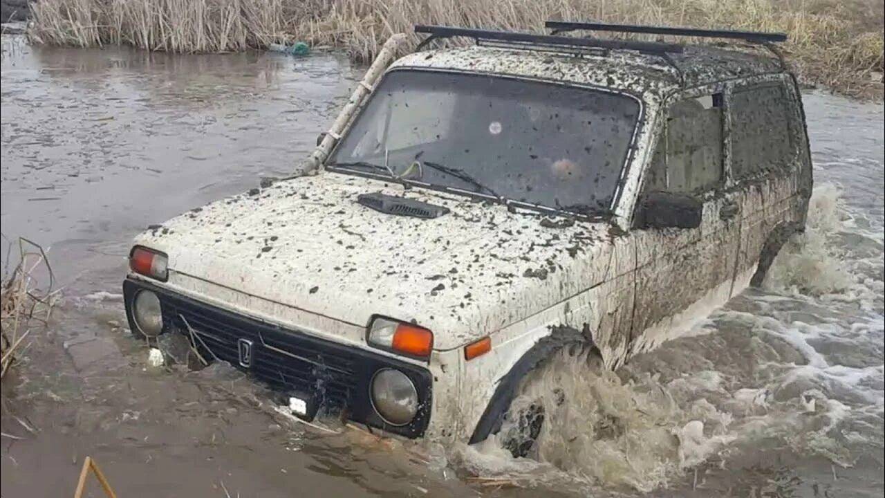 Купил б/у Ниву. смотреть онлайн