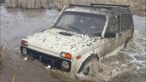 Купил б/у Ниву.