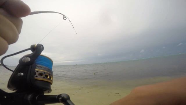 Little Cayman Flats Fishing смотреть онлайн