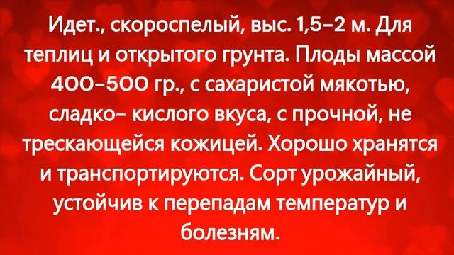 КАТАЛОГ ТОМАТОВ НА 2024 год. Часть 7. г. Киров. смотреть онлайн