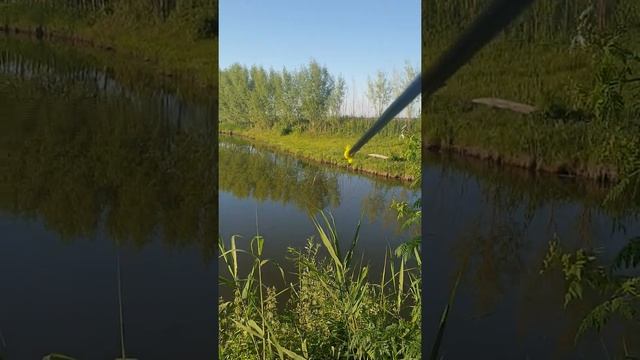 Пруд смотреть онлайн