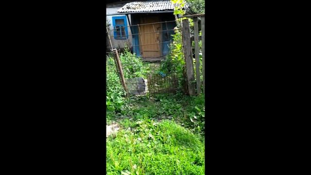 ♥КОЛОСОВО VLOG♥КРОВАВЫЙ ПРУД♥НЕ ГОВОРИ ЧТО МЫ ОПОЗДАЛИ♥ смотреть онлайн