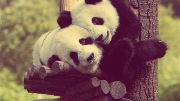 Dj Denis Rublev & Dj Anton -- With you С тобой