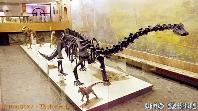 Diplodocus - The Sound Effects Of Diplodocus