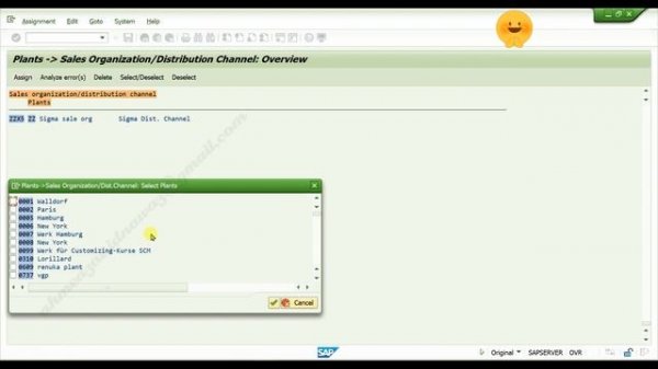 Assign sales organization and distribution channel to plant in SAP SD - SAP MM || Step 9