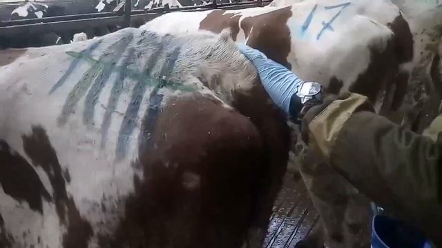 Работа с новотельной группой - 2 смотреть онлайн