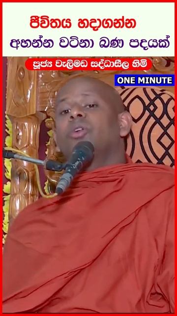 ජීවිතය හදාගන්න බණ පදයක් welimada Saddhaseela thero bana #short смотреть онлайн
