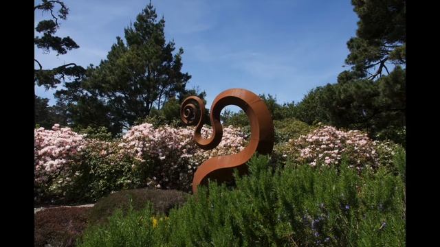 Nomadic life what happened to spring? Mendocino Botanical gardens, a sweet Red Fox смотреть онлайн