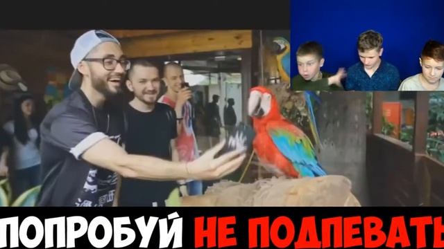 ПОПРОБУЙ НЕ ПОДПЕВАТЬ CHALLENGE / РЕАКЦИЯ смотреть онлайн