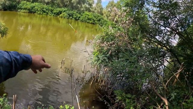 Риболовля на кукурудзу В РАЮ 🐟🌾 смотреть онлайн