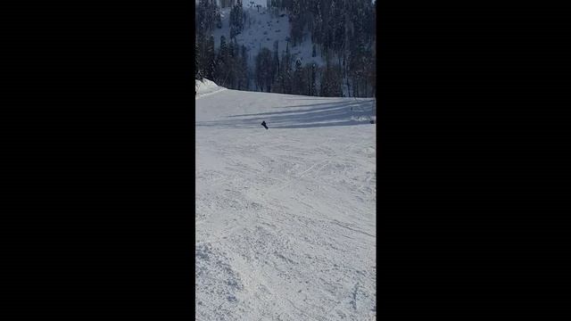 Laura_sector_G смотреть онлайн