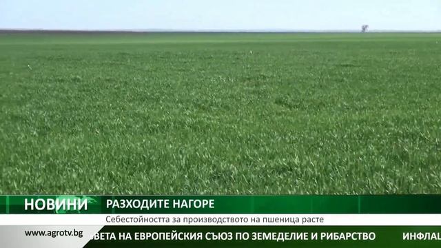 Себестойността за производството на пшеница расте смотреть онлайн