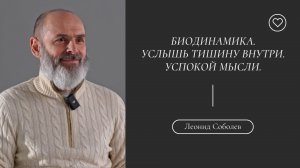 Биодинамика. Услышь тишину внутри. Успокой мысли.