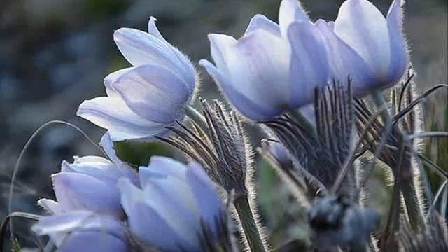 просто смотреть онлайн