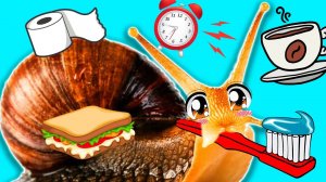 Моё утро глазами улитки Гэрри — невероятно медленно!