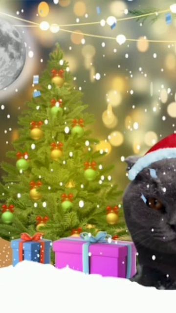Рождественский кот. #shorts смотреть онлайн