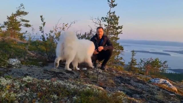 Walking with a dog on the outskirts of Murmansk/Прогулка с собакой по окраинам мурманска смотреть онлайн