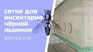 Инсектарий NEYTAN «Сетки для мух»