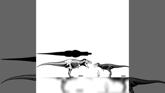 Tyrannosaurus Rex And Bistahieversor Size Comparison смотреть онлайн