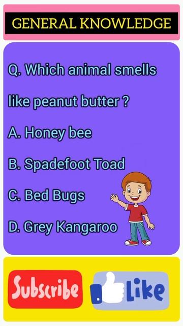 Most Interesting Gk Question | Learn With Fun | Animals Shorts | #SHORTS смотреть онлайн