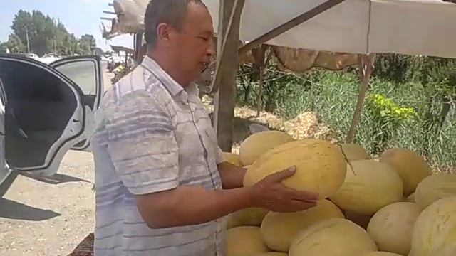 Жизахда Ковун арзон экан куринг видиони 2023 йил 6 июль смотреть онлайн