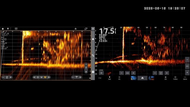 Сравнение MegaLive 2 Vs  Panoptix LVS 34