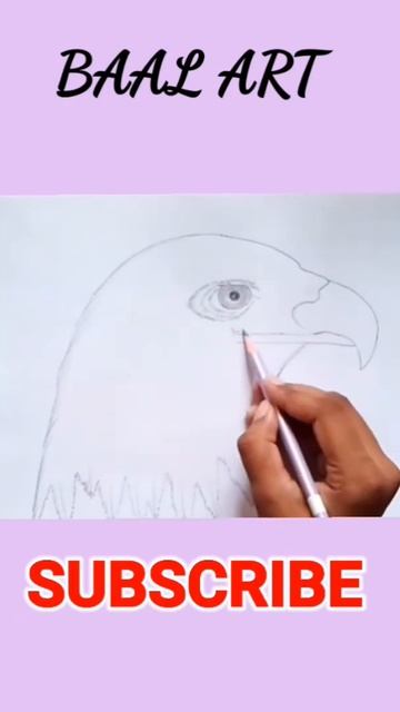 Eagle Drawing |#short #drawingvideo #shortsdrawing смотреть онлайн