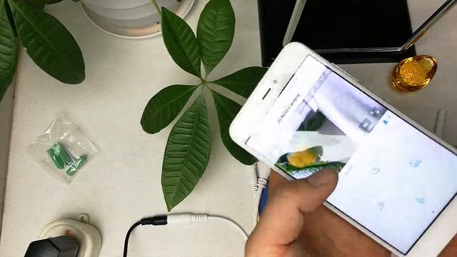 JN-IP618AR-A-WIFI Installation video смотреть онлайн