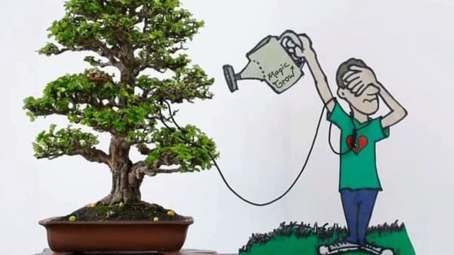 Pak Robert Steven, Master Bonsai Dunia dari Indonesia смотреть онлайн