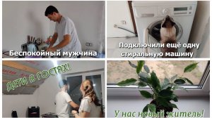 #65 БЕСПОКОЙНЫЙ МУЖЧИНА! Подключили ещё одну стиральную машину. ДЕТИ В ГОСТЯХ! У нас новый житель!