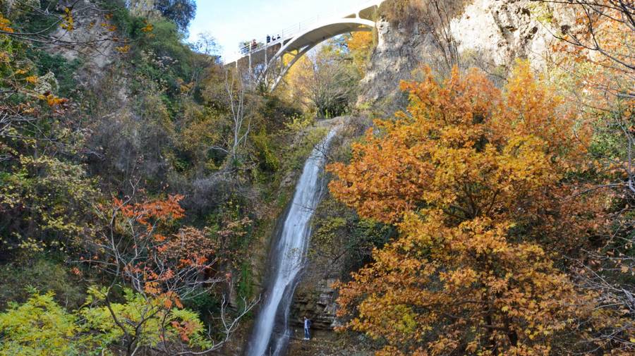 СТОИТ ПОСЕТИТЬ! Ботанический сад в Тбилиси, Грузия. смотреть онлайн