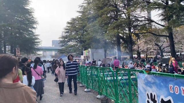 Sakura 2024 Tour Japan смотреть онлайн
