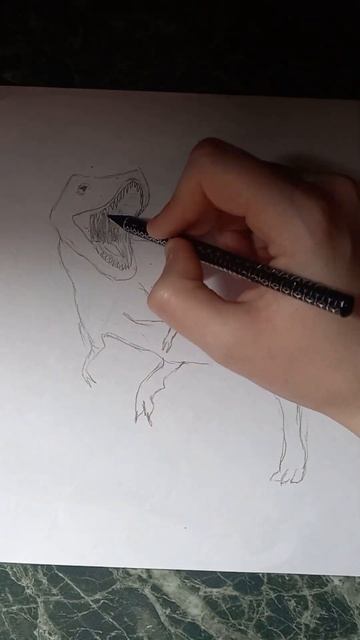T-rex🦖 #t-rex #dinosaur #shorts #pictures #ти-рекс #динозавры #рисунки #творчество смотреть онлайн