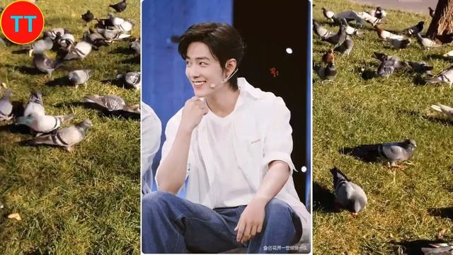 肖战简介中保留《陈情令》引热议，官媒称《那片海》为现象级爆剧 смотреть онлайн