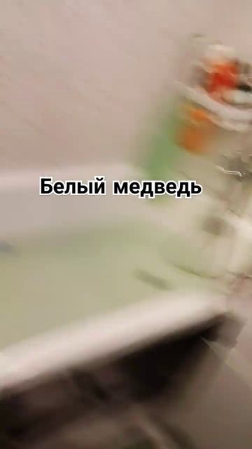 белый медведь нашел ледяной берег моря #медведь #youtubeshorts смотреть онлайн
