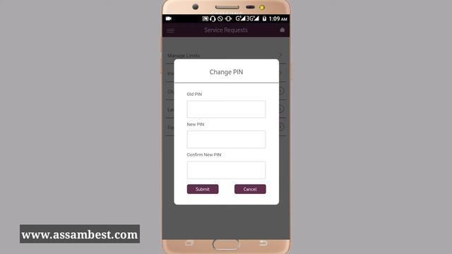 How To Change Vodafone M Pesa Pin In Assamese смотреть онлайн