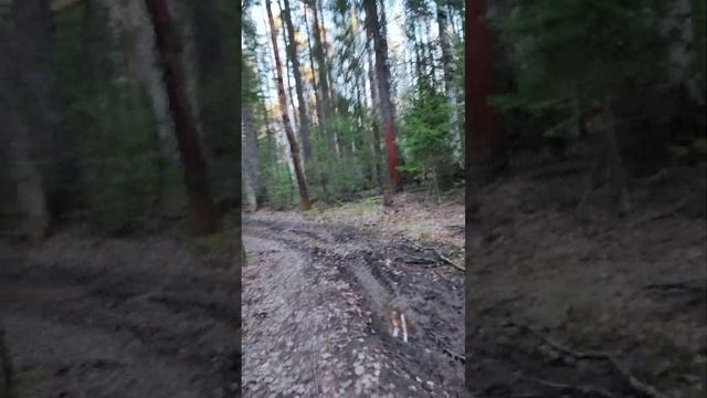 17 мая 2024 г. смотреть онлайн